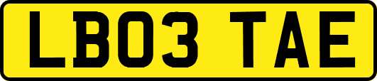 LB03TAE