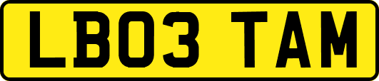 LB03TAM