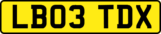 LB03TDX