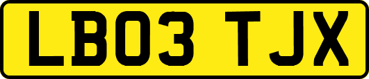 LB03TJX