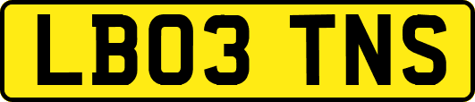 LB03TNS