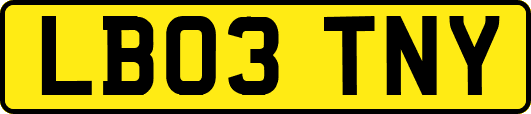 LB03TNY