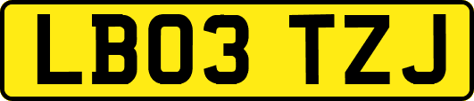 LB03TZJ