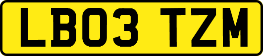 LB03TZM