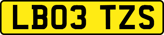 LB03TZS