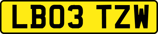 LB03TZW