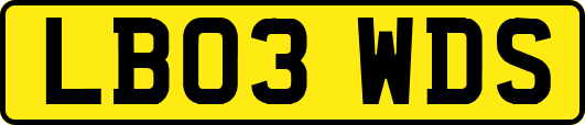LB03WDS
