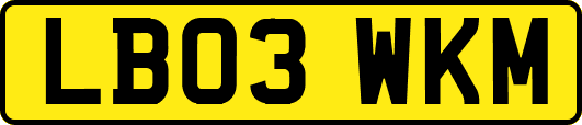 LB03WKM
