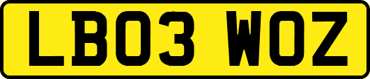 LB03WOZ