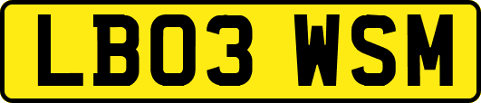 LB03WSM