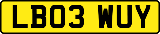 LB03WUY