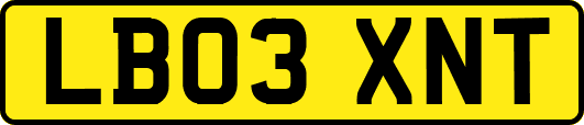 LB03XNT