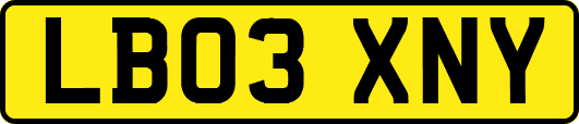LB03XNY