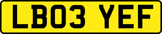 LB03YEF