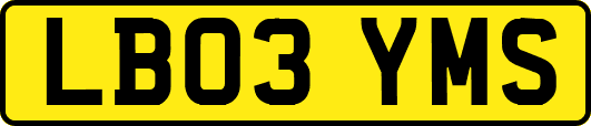 LB03YMS