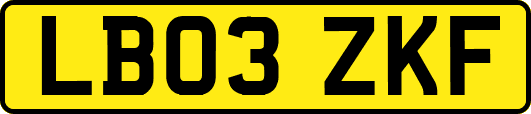 LB03ZKF