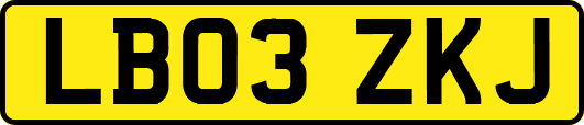 LB03ZKJ