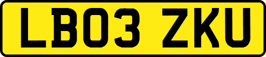 LB03ZKU