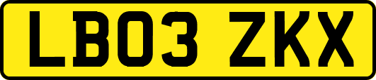 LB03ZKX