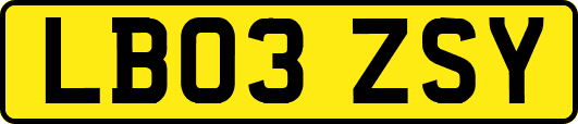 LB03ZSY