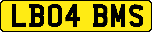 LB04BMS
