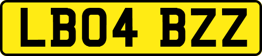 LB04BZZ