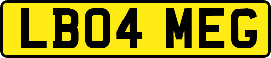 LB04MEG
