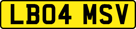 LB04MSV