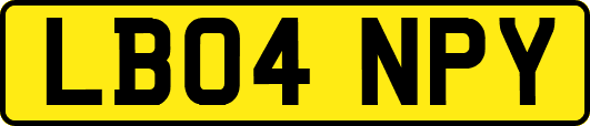 LB04NPY