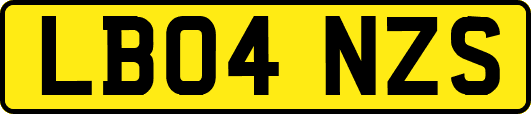 LB04NZS