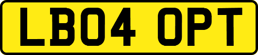 LB04OPT