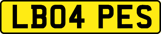 LB04PES