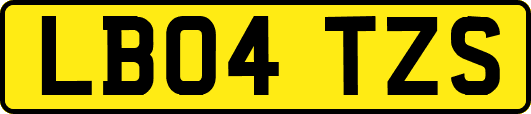 LB04TZS