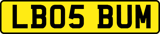 LB05BUM