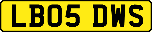 LB05DWS