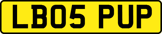 LB05PUP