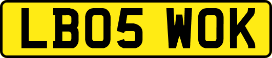 LB05WOK