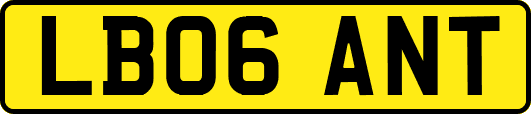 LB06ANT