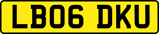LB06DKU