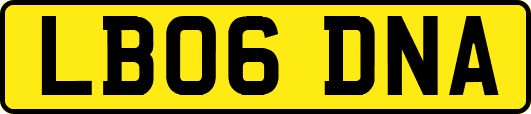 LB06DNA