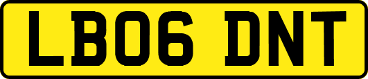 LB06DNT