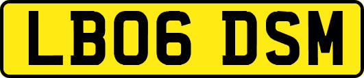 LB06DSM