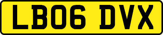 LB06DVX