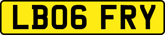 LB06FRY
