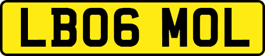 LB06MOL