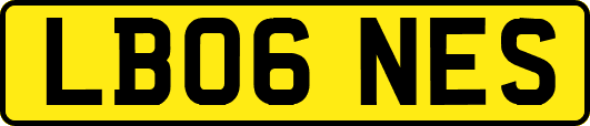 LB06NES