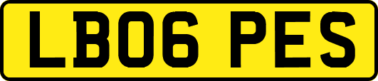 LB06PES