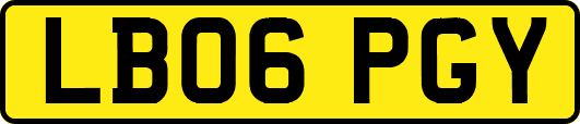 LB06PGY