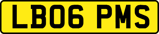LB06PMS