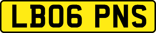 LB06PNS